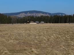 Palenica Kościeliska